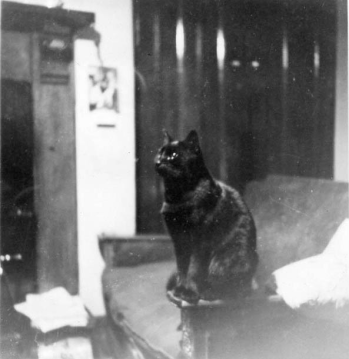 Cat by Gaslight, 1944 png